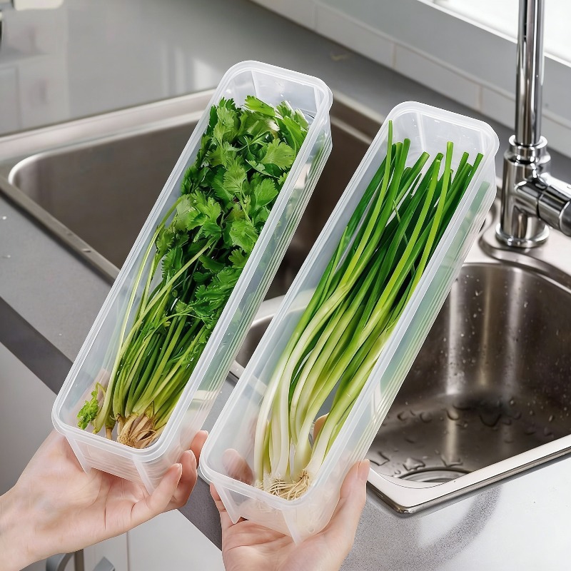 Commercial Kitchen Refrigerator - 1/2/4 adet yeşil soğan taze tutma