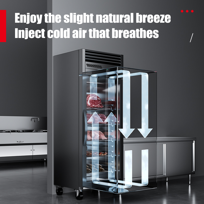 Ticari Mutfak Soğutma Ekipmanl - Commercial Kitchen Refrigerator incelemesi ve fiyatı